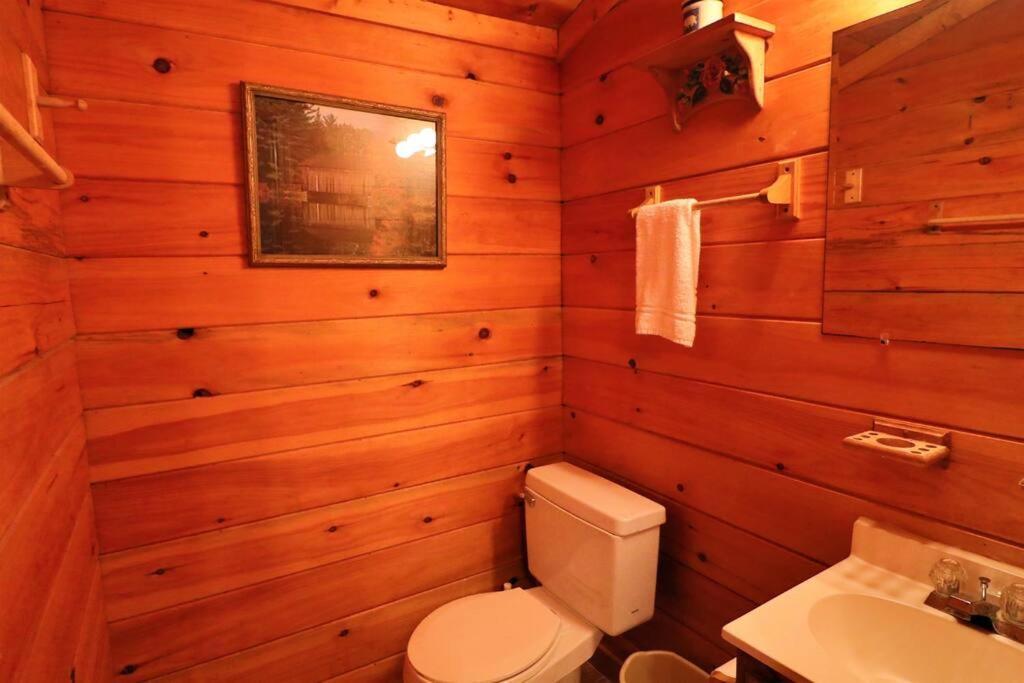 Mountain Cabin 2B Jacuzzi #10 Helen Extérieur photo