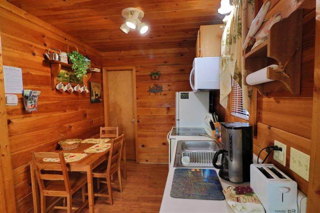 Mountain Cabin 2B Jacuzzi #10 Helen Extérieur photo