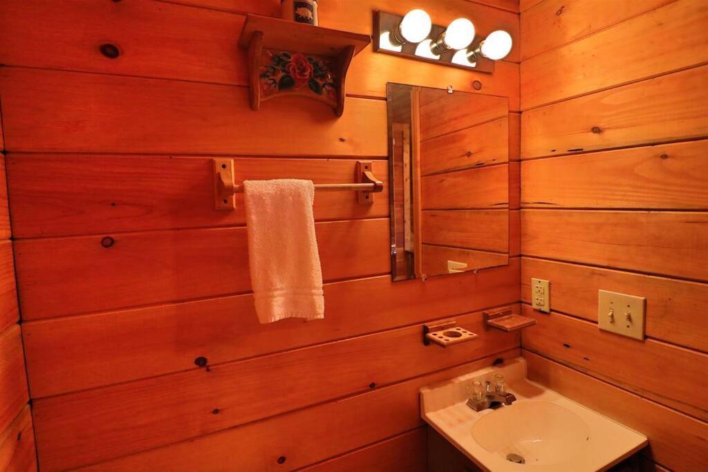 Mountain Cabin 2B Jacuzzi #10 Helen Extérieur photo