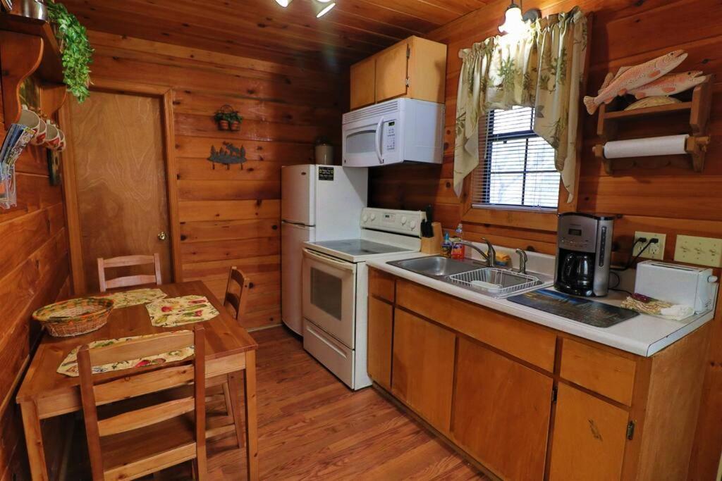 Mountain Cabin 2B Jacuzzi #10 Helen Extérieur photo